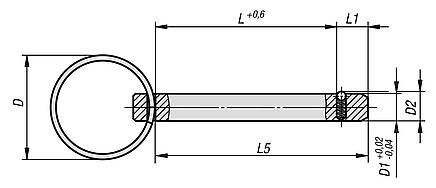 Locking pins, steel with stainless steel key ring